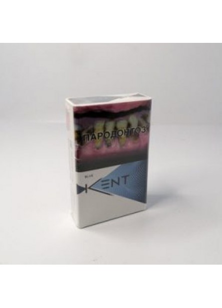 Сигареты Kent синий обычный 8